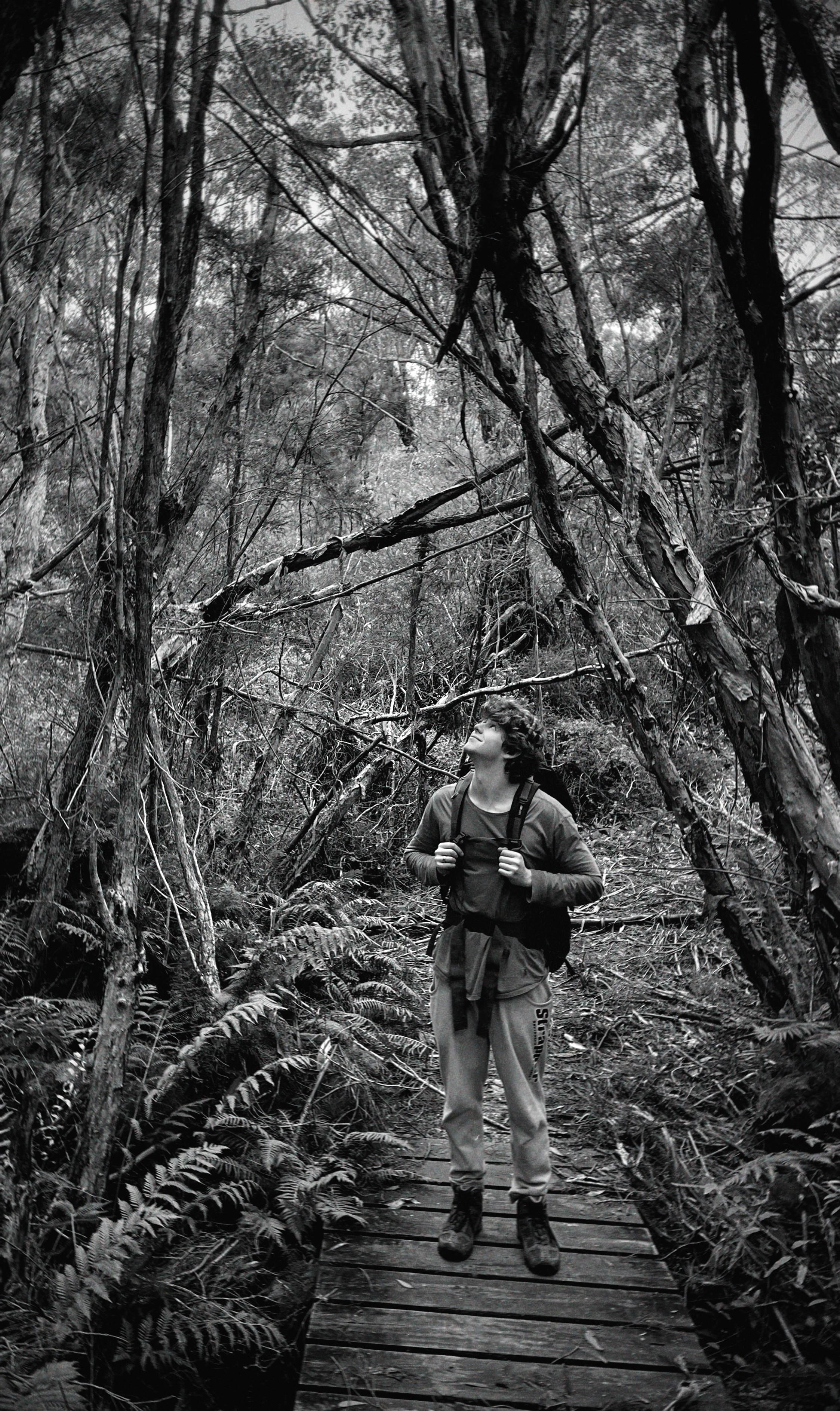 Will on a hike looking up at the trees